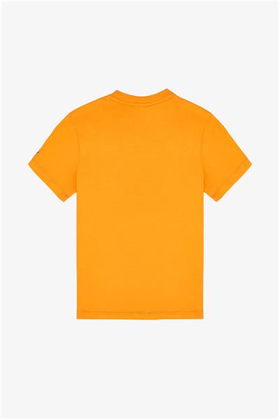 Swatsky Erkek Çocuk Oranj Tshirt