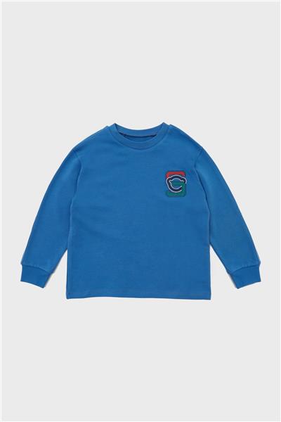 Swatsky Erkek Çocuk Saks T-Shirt