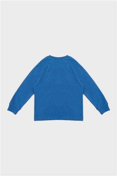 Swatsky Erkek Çocuk Saks T-Shirt