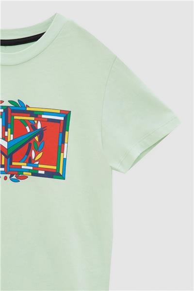 Swatsky Erkek Çocuk Yeşil T-Shirt
