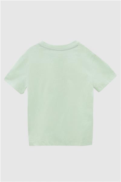 Swatsky Erkek Çocuk Yeşil T-Shirt