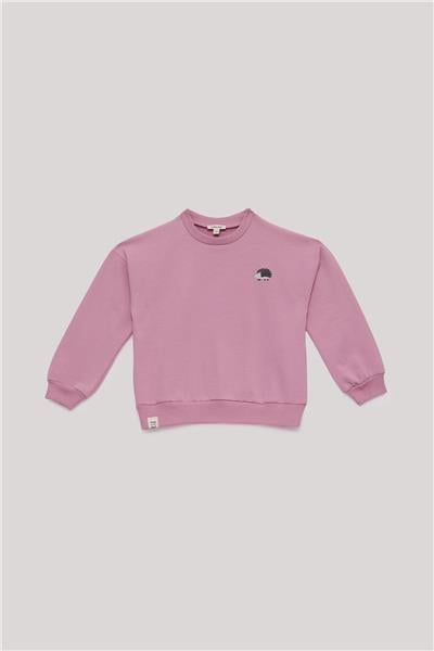 Tyess Basic Kız Çocuk Pembe Takım