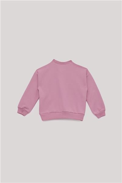 Tyess Basic Kız Çocuk Pembe Takım