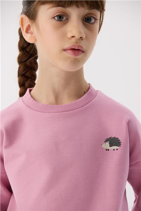 Tyess Basic Kız Çocuk Pembe Takım