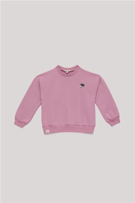 Tyess Basic Kız Çocuk Pembe Takım