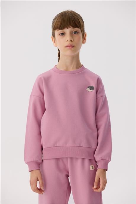 Tyess Basic Kız Çocuk Pembe Takım