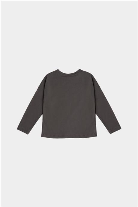 Tyess Kız Çocuk Gri T-Shirt