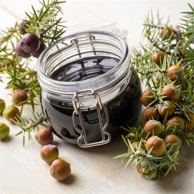 Andız Pekmezi 800 Gram