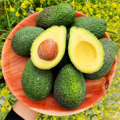 HASS AVOKADO BÜYÜK BOY - 1 KİLO