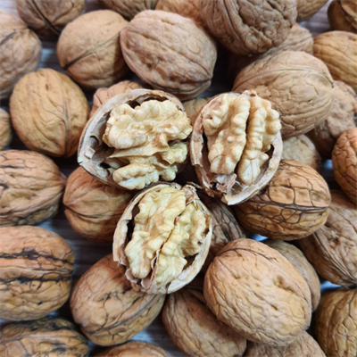 KABUKLU CEVİZ - 500 GRAM