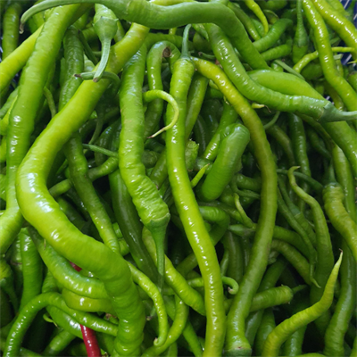 KIL BİBER - 500 GRAM