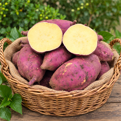 KIRMIZI TATLI PATATES 1 KİLO