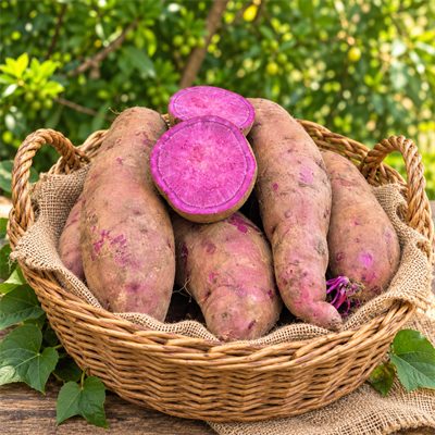 MOR TATLI PATATES 1 KİLO