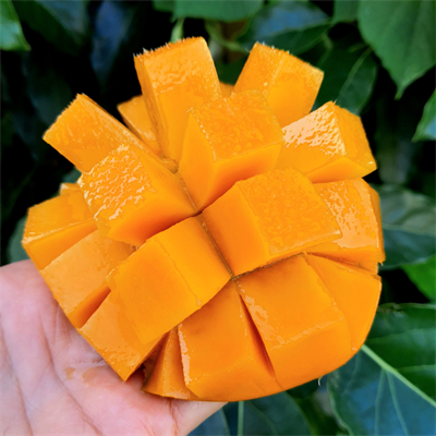 YERLİ MANGO 1 ADET