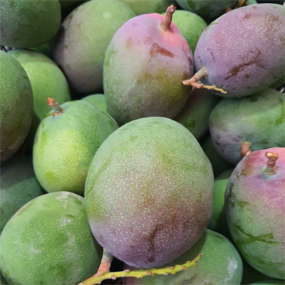 YERLİ MANGO 1 KG