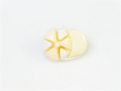5 Cap Figure Buttons Light Yellow, White 15mm long