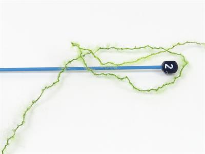 Lot of 10 Skeins Ice Yarns CARESS BABY ALPACA COLOR (30% Baby Alpaca 31% Extrafine Merino Wool) Yarn Green Shades Grey Shades