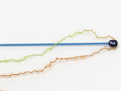 Lot of 10 Skeins Ice Yarns CARESS BABY ALPACA COLOR (30% Baby Alpaca 31% Extrafine Merino Wool) Yarn Green Gold Turquoise Grey