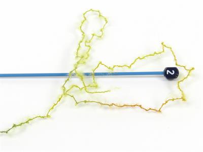 Lot of 10 Skeins Ice Yarns CARESS BABY ALPACA COLOR (30% Baby Alpaca 31% Extrafine Merino Wool) Yarn Navy Orange Gold Camel