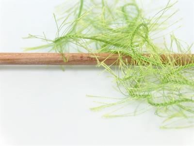 4x100gr. EYELASH 100GR  Yeşil Yumoş, Sakallı, Kışlık, Kalın