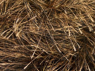 8x50gr. LONG EYELASH  Siyah, Deve Tüyü Yumoş, Sakallı, Kışlık, Çok Kalın