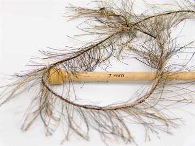 8x50gr. LONG EYELASH  Siyah, Deve Tüyü Yumoş, Sakallı, Kışlık, Çok Kalın