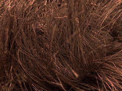 8x50gr. LONG EYELASH  Kahverengi Yumoş, Sakallı, Kışlık, Çok Kalın