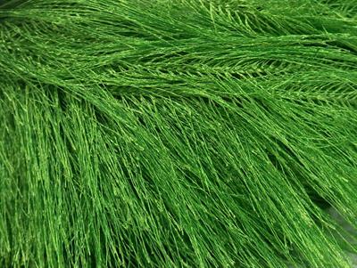 8x50gr. LONG EYELASH  Yeşil Yumoş, Sakallı, Kışlık, Çok Kalın