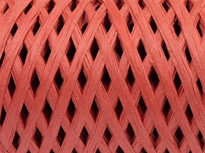 2x100gr. RAFFIA Viskon Orkide Şerit, Viskon, Yazlık İplikler, %100 Viskon, Worsted