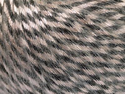 Lot of 8 Skeins Ice Yarns ROCK STAR (19% Merino Wool) Yarn Beige Black