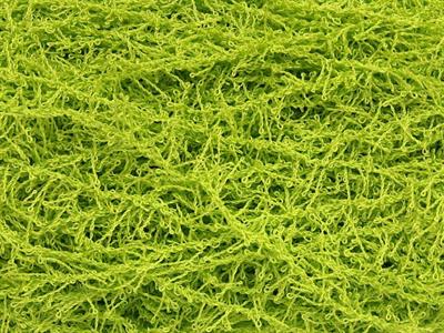 4x100gr. SCRUBBER TWIST  Açık Yeşil Yumoş, Sakallı, Kışlık, Worsted