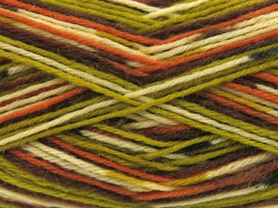 Lot of 4 x 100gr Skeins Ice Yarns SOCK VARICOLOR (75% Superwash Wool) Yarn Green Orange Cream Brown