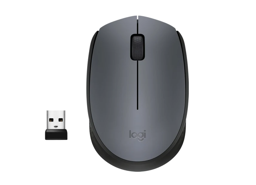 Logitech m170 mouse