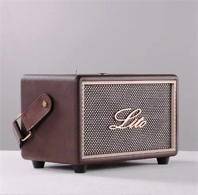 Lito D6 HIFI Bluetooth Hoparlör