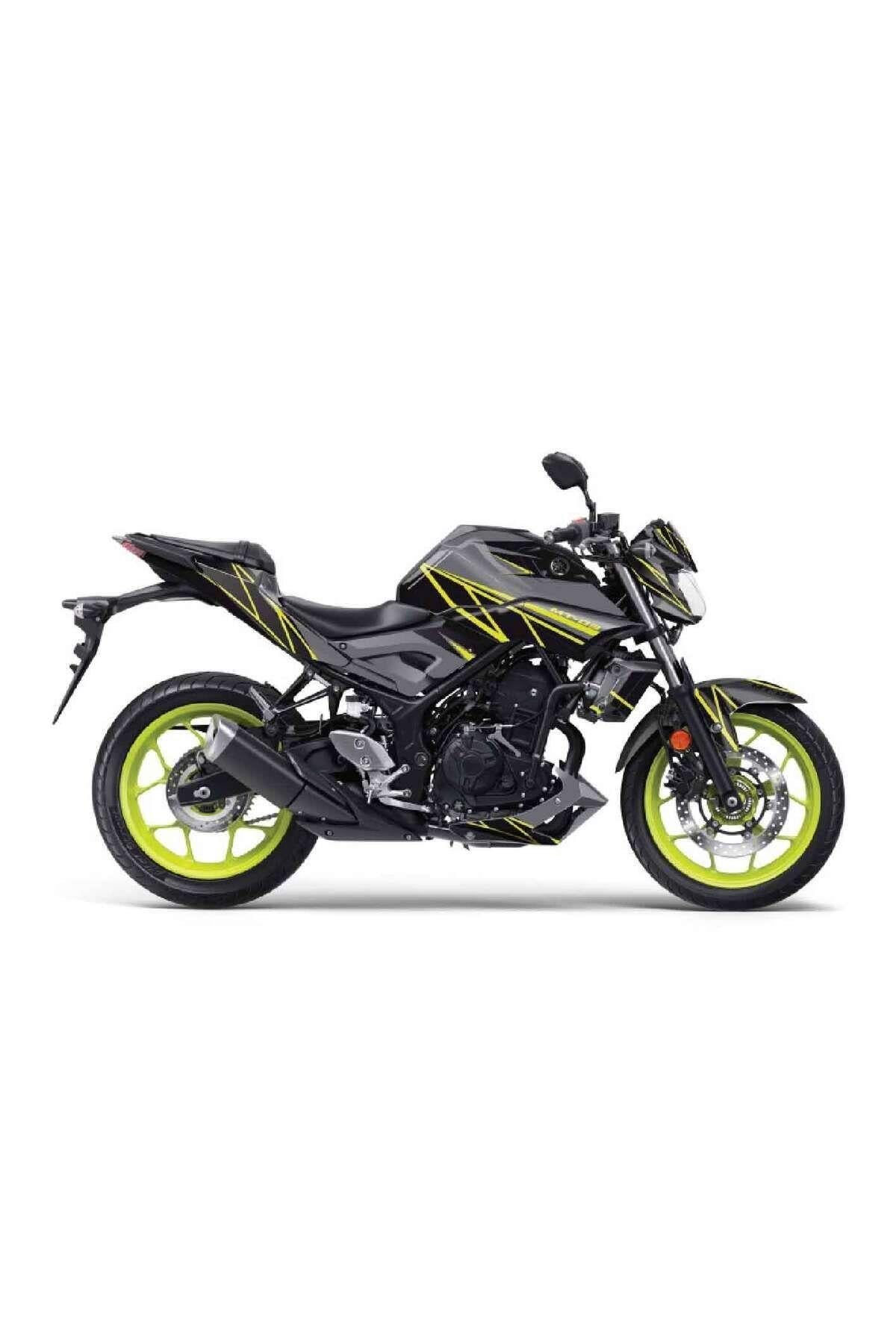 Yamaha MT-25 2014-2018 Striped Gray Sticker Set