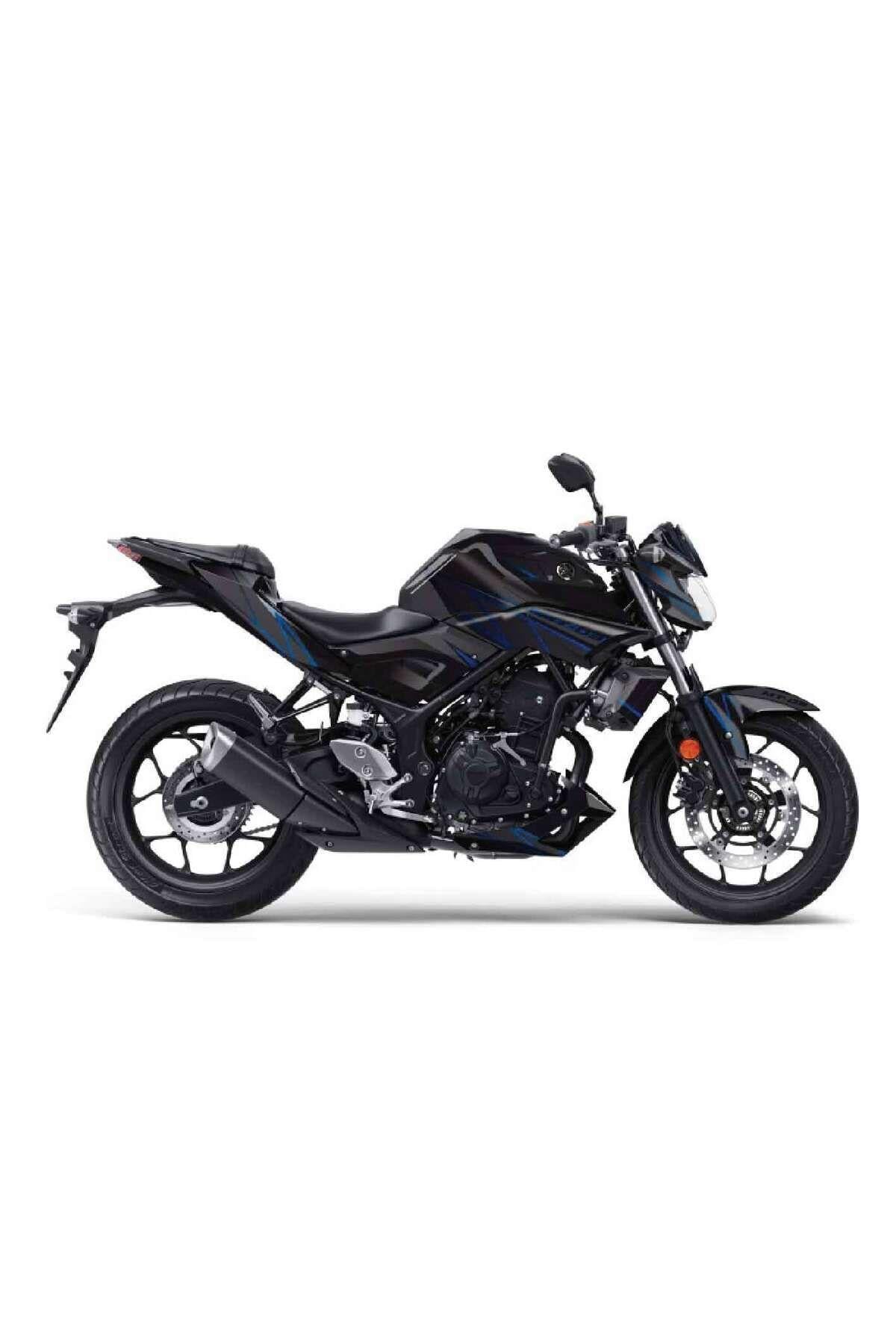 Yamaha MT-25 2014-2018 Striped Blue-Black Sticker Set