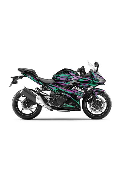 KAWASAKİ 400 NİNJA 2018-2024 LİNE GRAPHIC KİT STİCKER SET