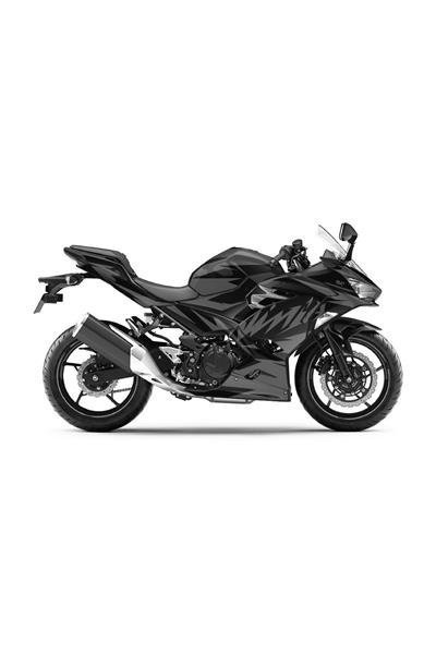 KAWASAKİ 400 NİNJA 2018-2024 LİNE GRAPHIC KİT STİCKER SET