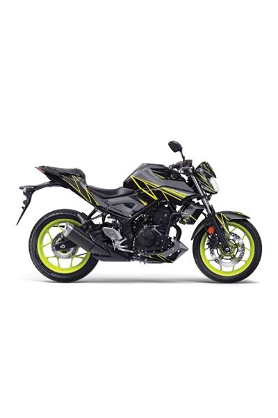 YAMAHA MT-25 2014-2018 ŞERİTLİ GRİ STİCKER SET