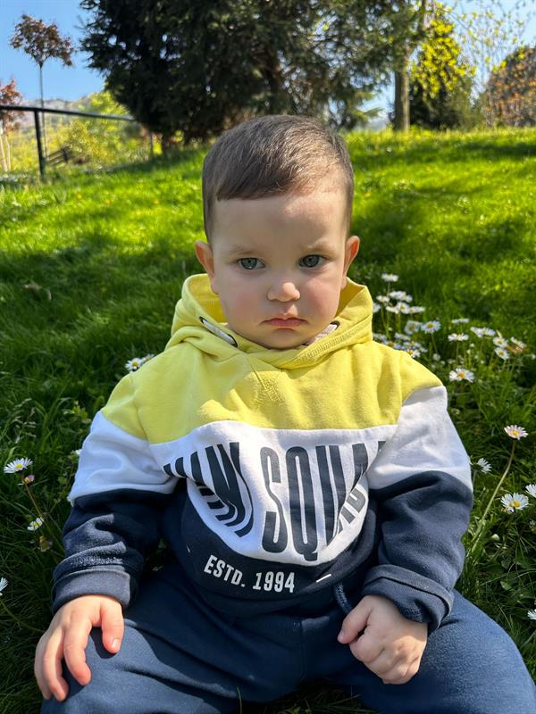 çınar