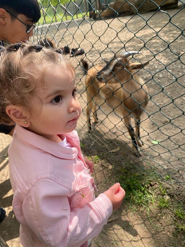 ilayda