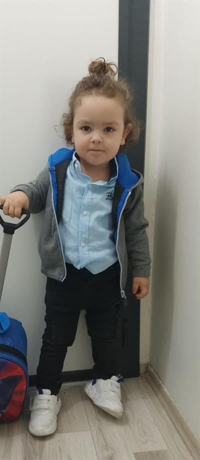 Asil