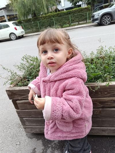 ipek