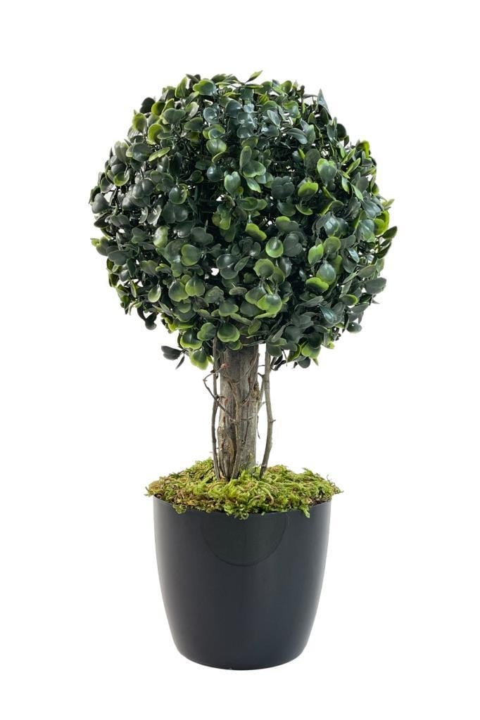 Yapay Ağaç Şimşir Top Tek Toplu 18x35cm Siyah Saksılı 