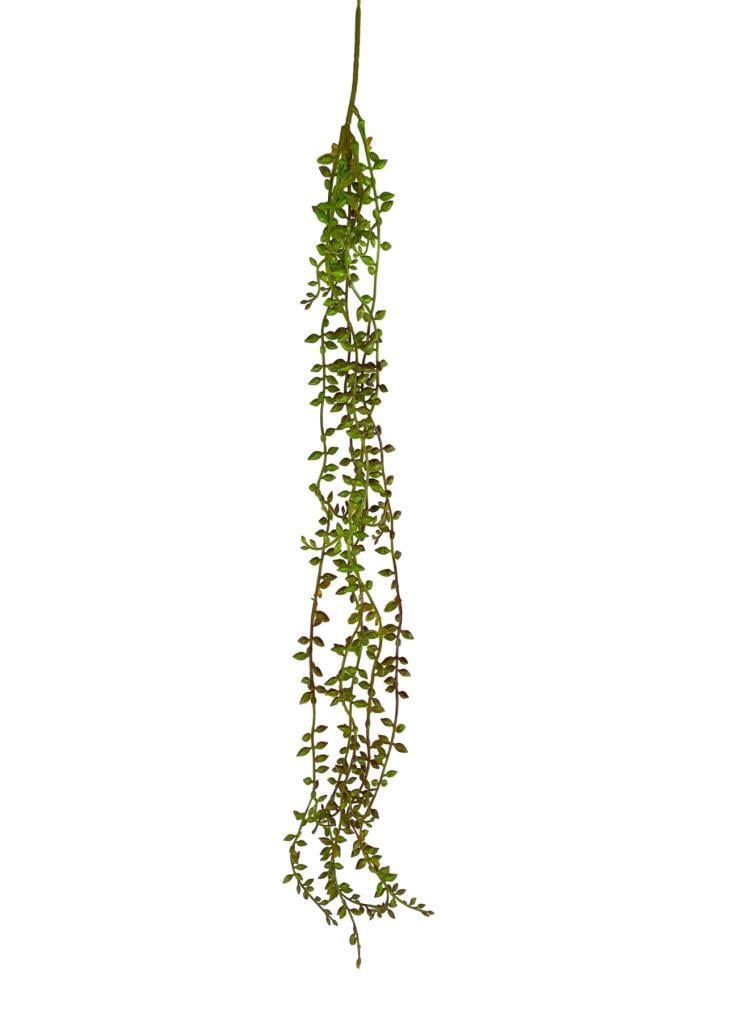 Yapay Çiçek Sarkan Kahverengi Detaylı String Okaliptus Skulent 70cm 5Dal