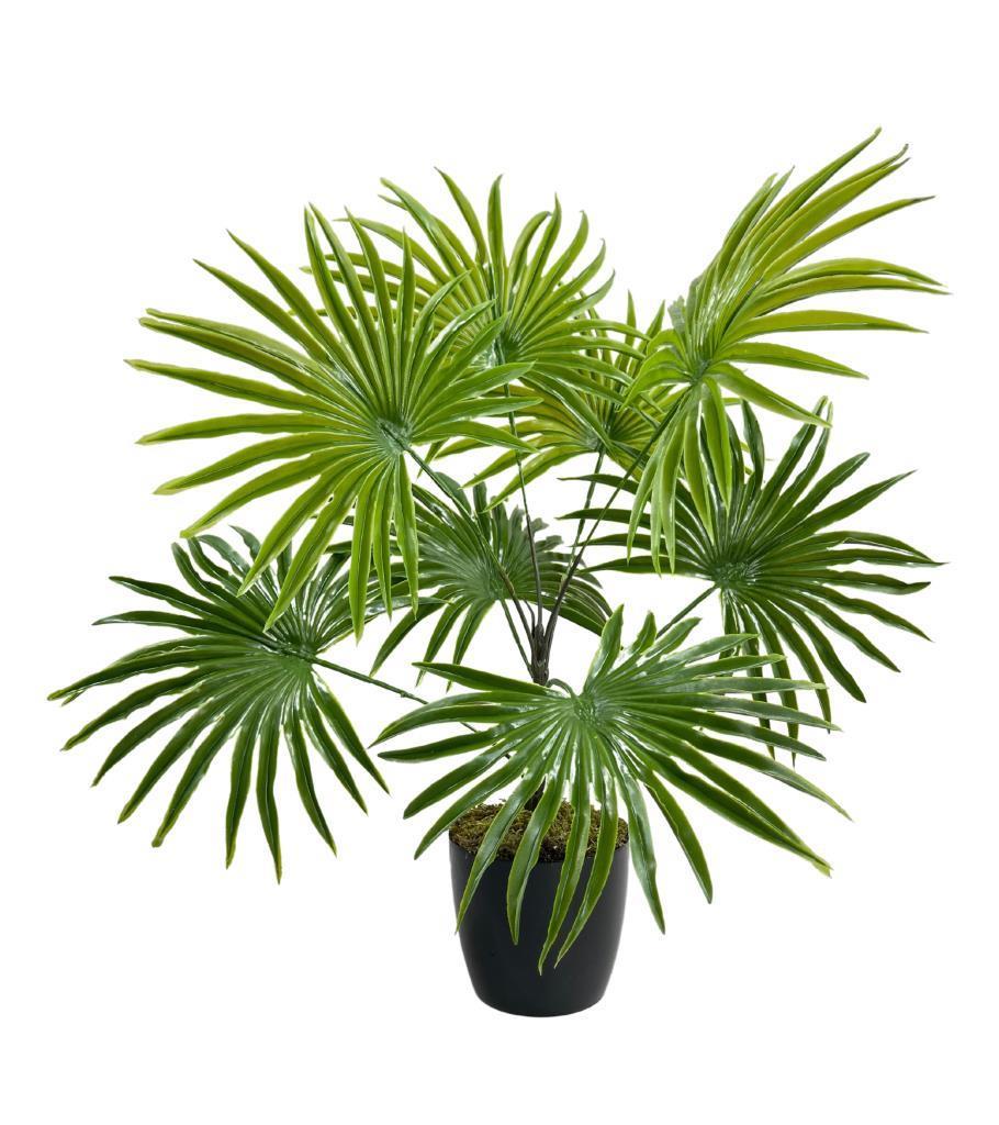 Yapay Çiçek Yelpaze Palmiye 8 Dal 50*40cm Salon Çiçeği Plastik Siyah Saksılı Yapay Bitki