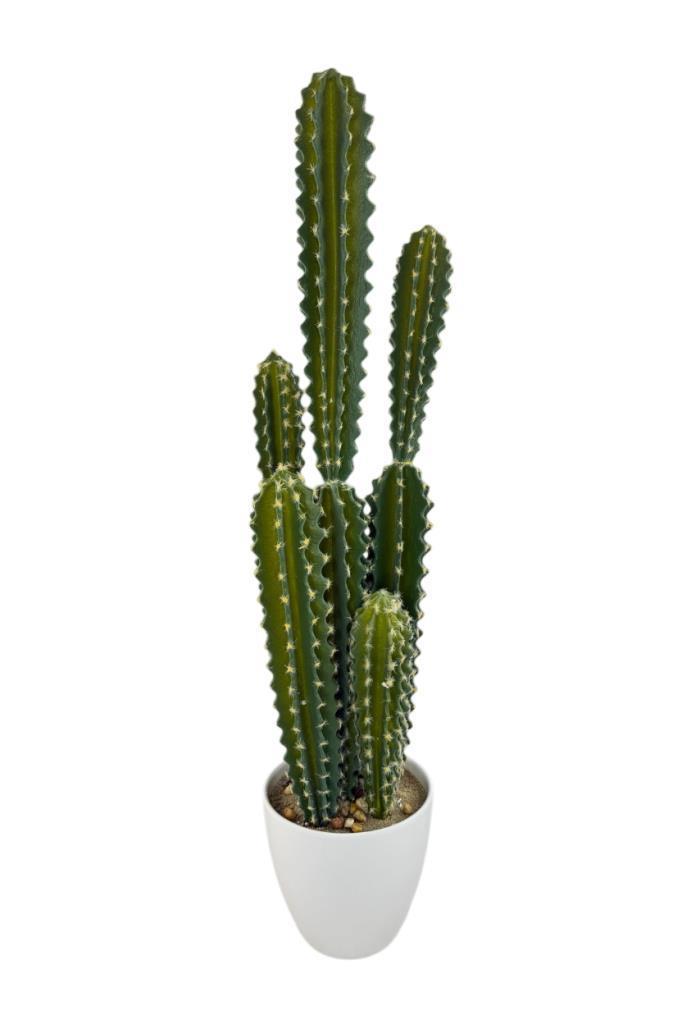Yapay Kaktüs Ağacı Sütun Kaktüsü (Cereus peruvianus) - Beyaz Saksıda Yapay Bitki 70*20cm