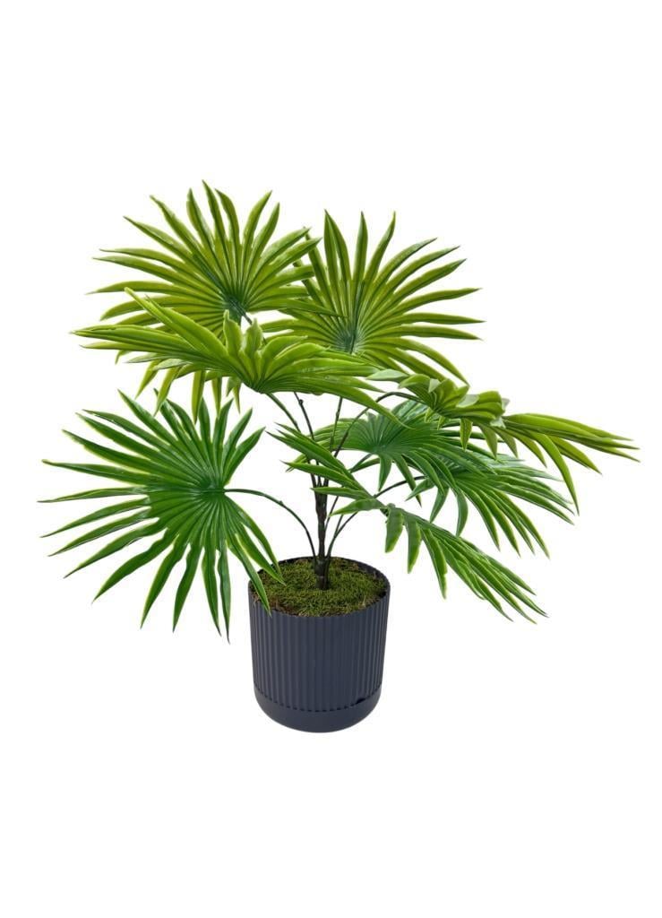 Yapay Salon Bitkisi Fan Palmiye 50*40cm 8Yaprak Plastik Antrasit Saksıda