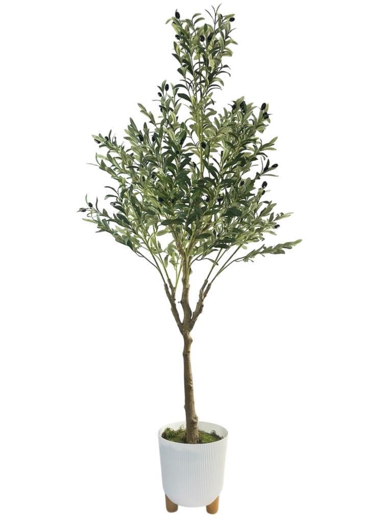 Yapay Zeytin Ağacı 185cm Doğal Görünümlü Yapay Ağaç Beyaz 25cm Zigon Saksıda