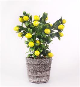 Limon Ağacı Seramik Saksıda Yapay Çiçek  